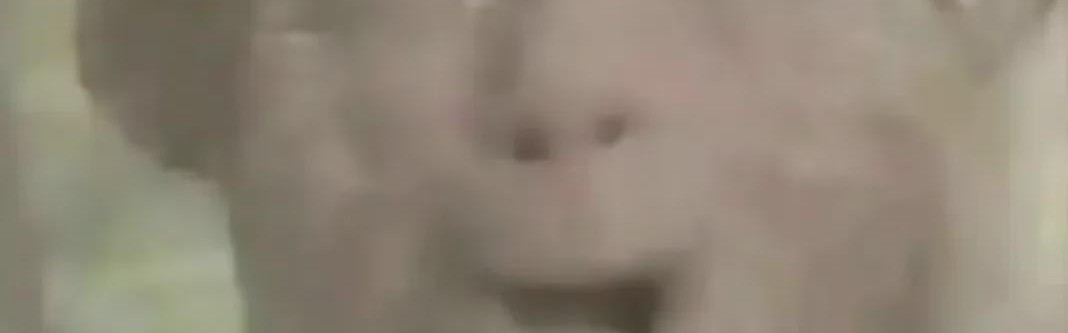 1-10！麻了，骑士麻了！最烂球队老大诞生